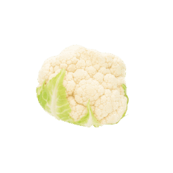 product-02
