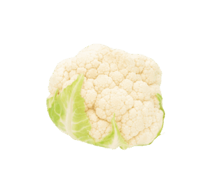 product-02