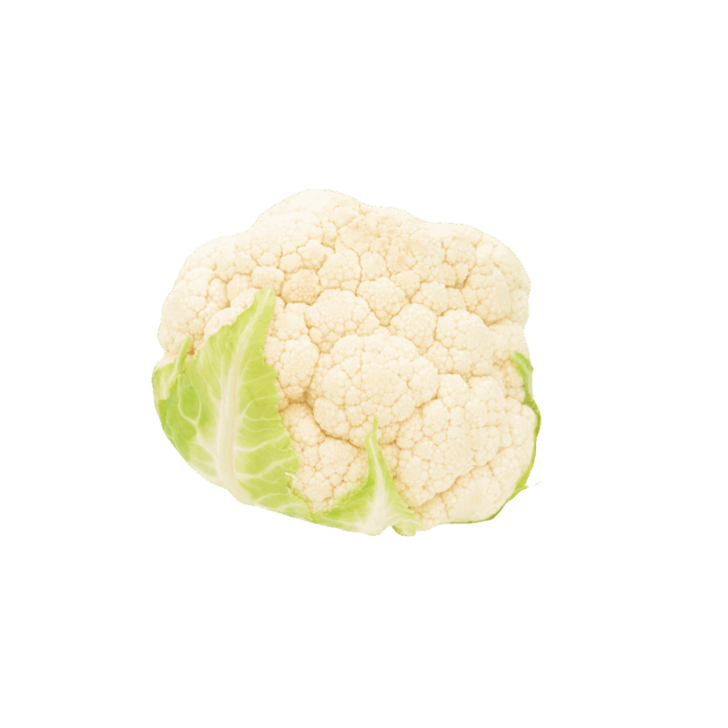 product-02