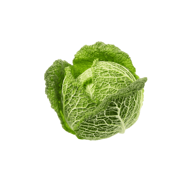 product-07