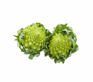product-08