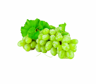 product-12