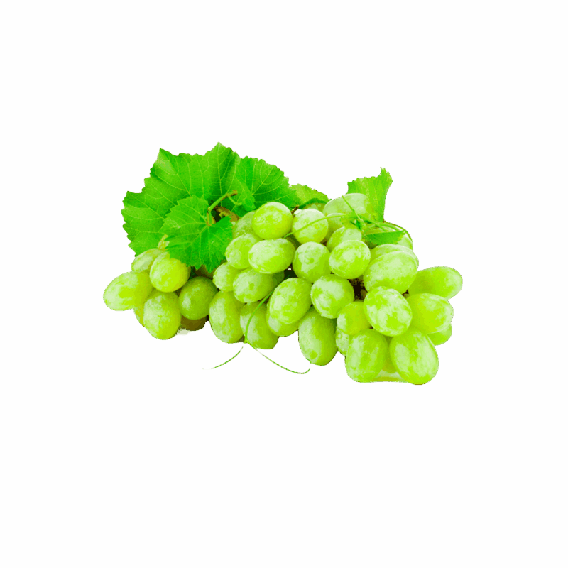product-12