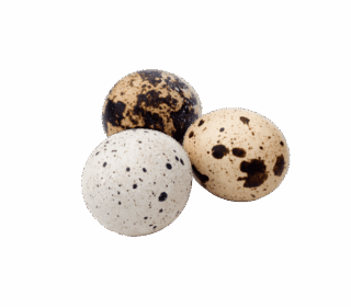product-25