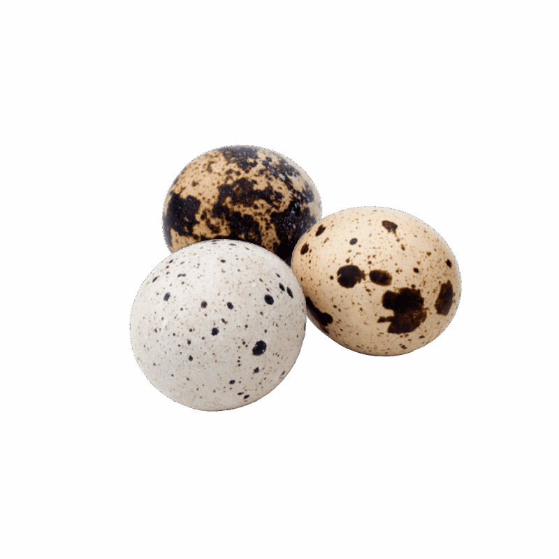 product-25