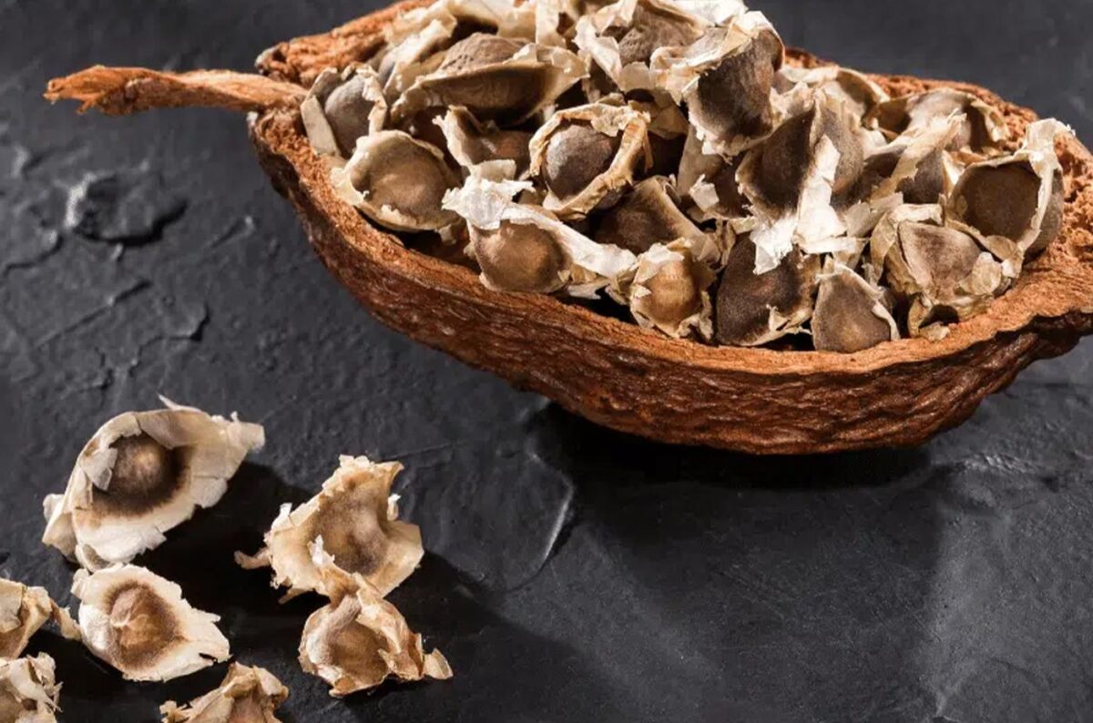 Ten Incredible Health Benefits of Moringa Seeds