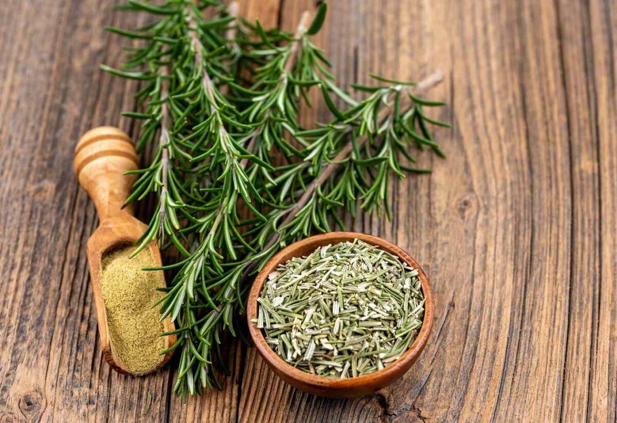 Organic rosemary leaf powder is known for its powerful antioxidant and anti inflammatory activity